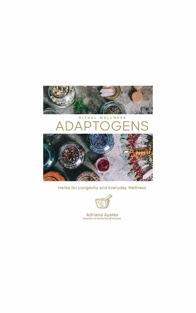 ADAPTOGENS Book | Ritual Wellness - Adriana Ayales (EN Version) - 19WA4600_1