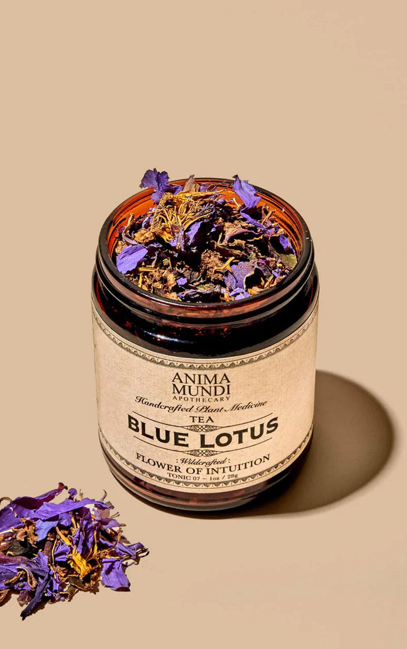 BLUE LOTUS | Flower of intuition and relaxation - 19WA48620_1