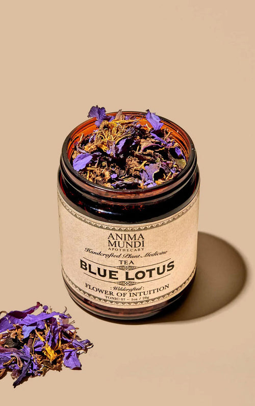 BLUE LOTUS | Flower of intuition and relaxation