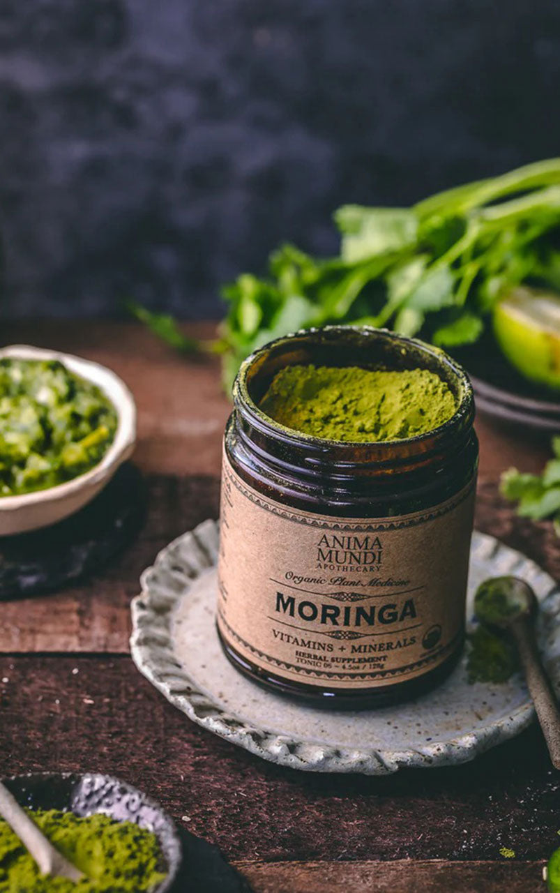 MORINGA | Super-Tonic - 19WA48624_2