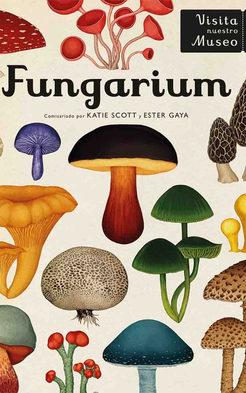 FUNGARIUM - 19WA48721_1