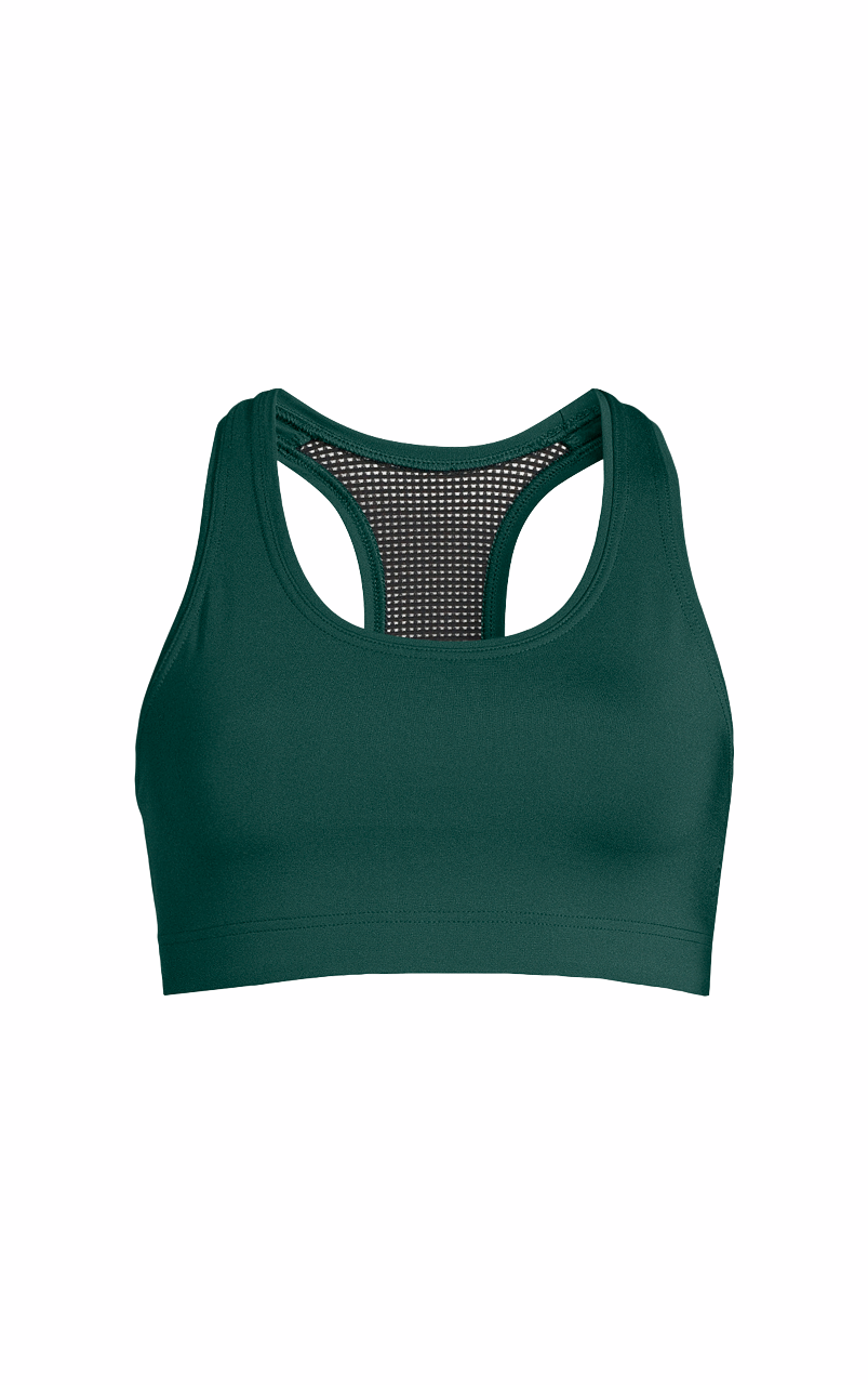 Iconic Sports Bra Dark Pine - 19WA51070_1